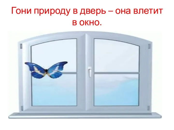 Гони природу в дверь – она влетит в окно.