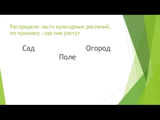 Распредели части культурных растений, по признаку - где они растут Сад Огород Поле