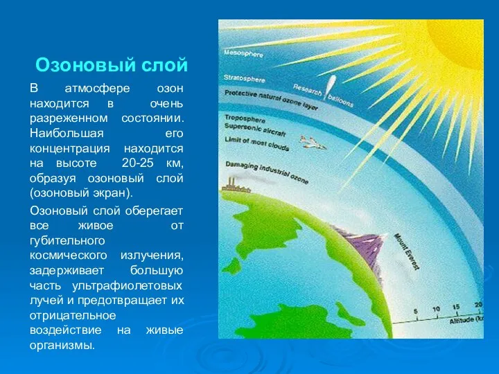 Озоновый слой В атмосфере озон находится в очень разреженном состоянии.