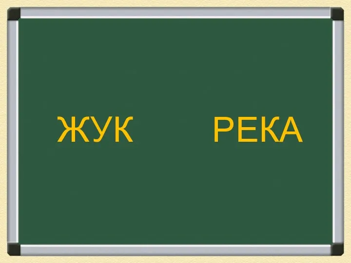 ЖУК РЕКА