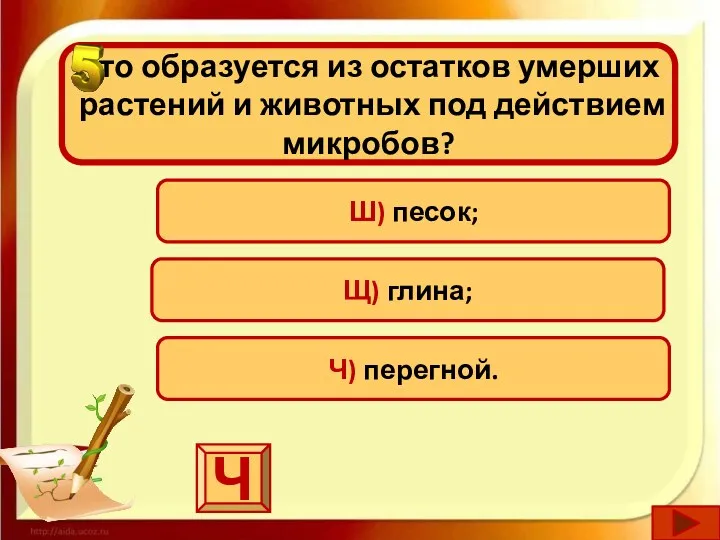 Что образуется из остатков умерших растений и животных под действием