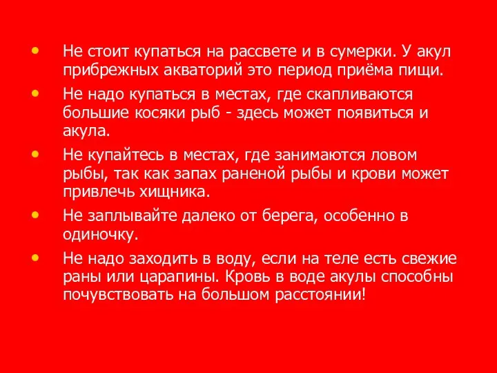 Не стоит купаться на рассвете и в сумерки. У акул