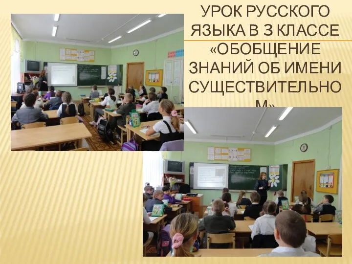 Урок русского языка в 3 классе«Обобщение знаний об имени существительном»