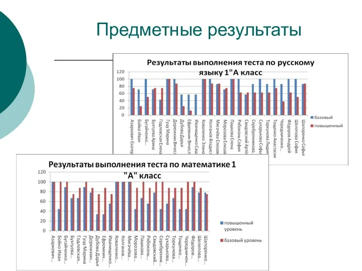 Предметные результаты