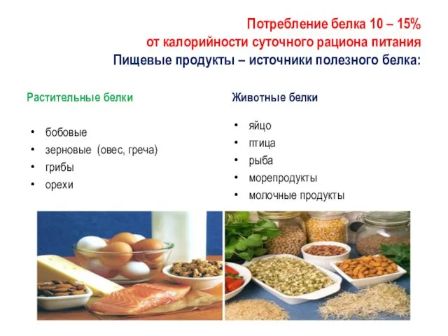 Потребление белка 10 – 15% от калорийности суточного рациона питания