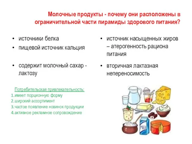 Молочные продукты - почему они расположены в ограничительной части пирамиды