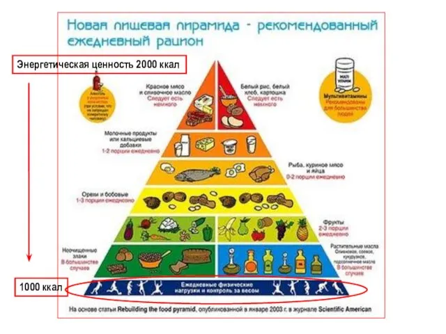 Энергетическая ценность 2000 ккал 1000 ккал