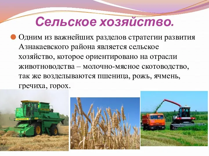 Сельское хозяйство. Одним из важнейших разделов стратегии развития Азнакаевского района является сельское хозяйство,