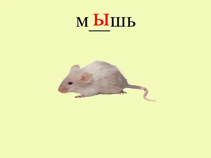 м__шь ы