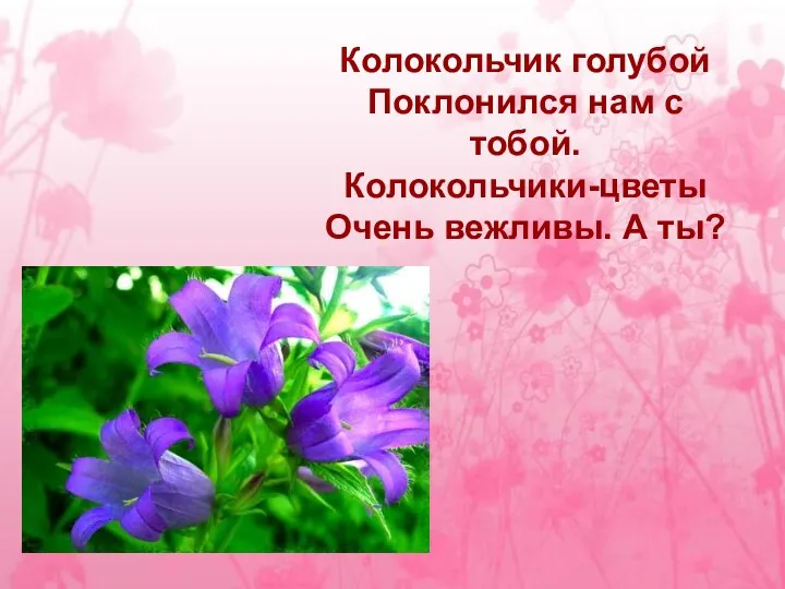 Колокольчик голубой Поклонился нам с тобой. Колокольчики-цветы Очень вежливы. А ты?