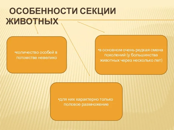 Особенности секции животных для них характерно только половое размножение в