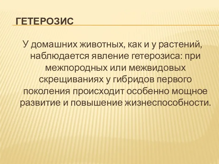 гетерозис У домашних животных, как и у растений, наблюдается явление