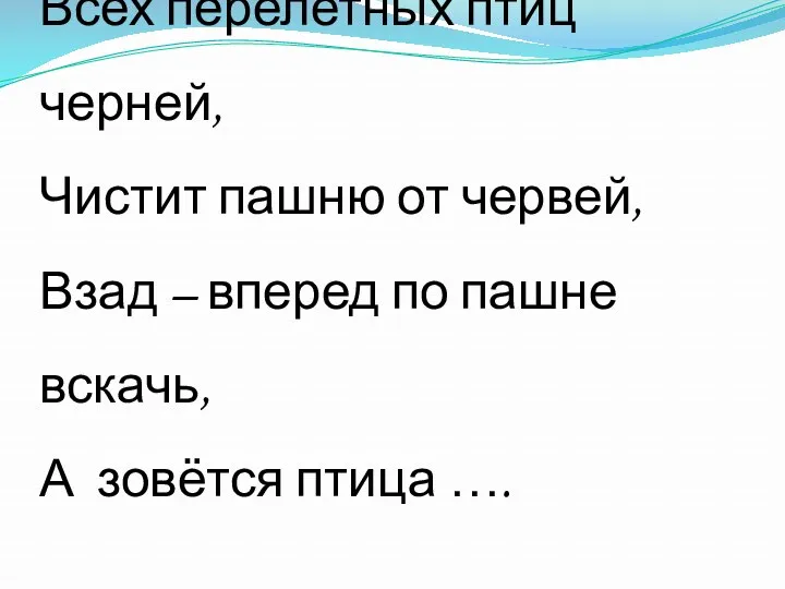 Всех перелетных птиц черней, Чистит пашню от червей, Взад –