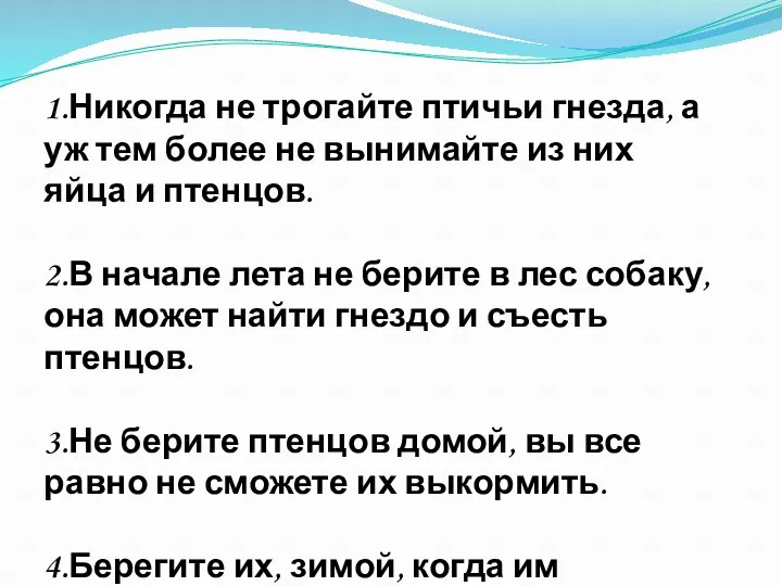 1.Никогда не трогайте птичьи гнезда, а уж тем более не