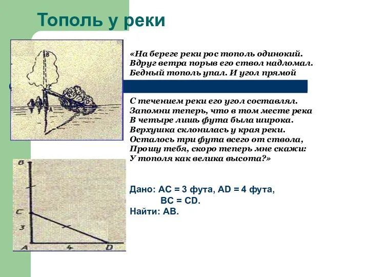 Тополь у реки «На береге реки рос тополь одинокий. Вдруг