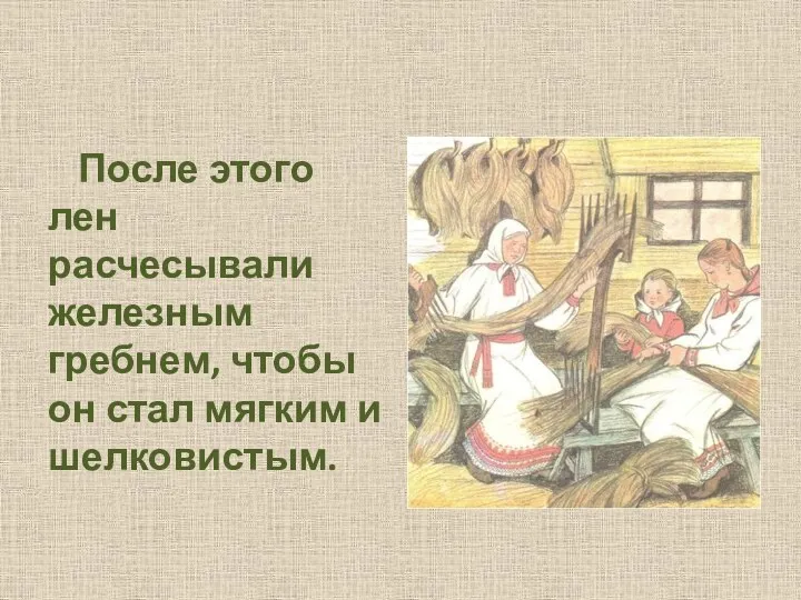 После этого лен расчесывали железным гребнем, чтобы он стал мягким и шелковистым.