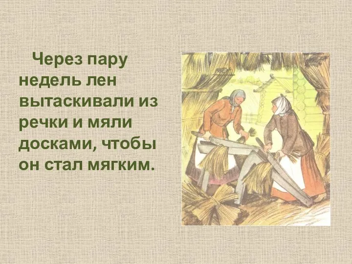 Через пару недель лен вытаскивали из речки и мяли досками, чтобы он стал мягким.