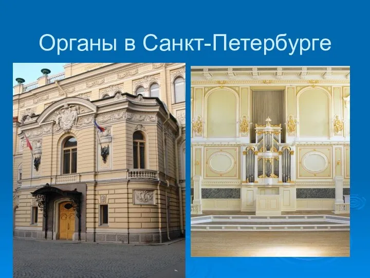 Органы в Санкт-Петербурге