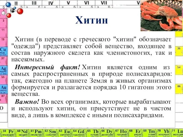 Хитин Хитин (в переводе с греческого "хитин" обозначает "одежда") представляет