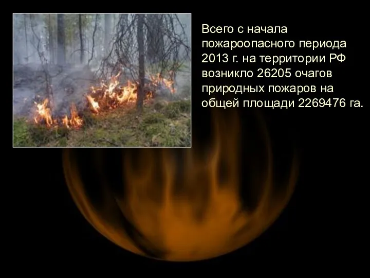 Всего с начала пожароопасного периода 2013 г. на территории РФ