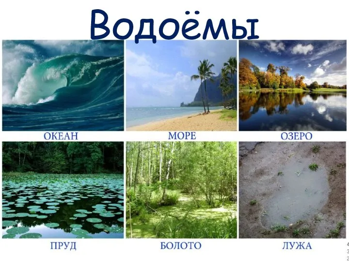 Водоёмы