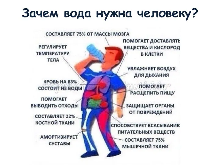 Зачем вода нужна человеку?