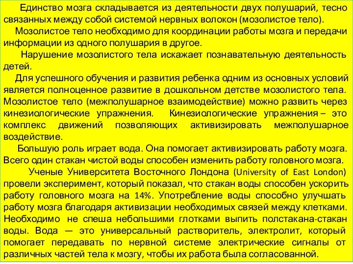 Единство мозга складывается из деятельности двух полушарий, тесно связанных между