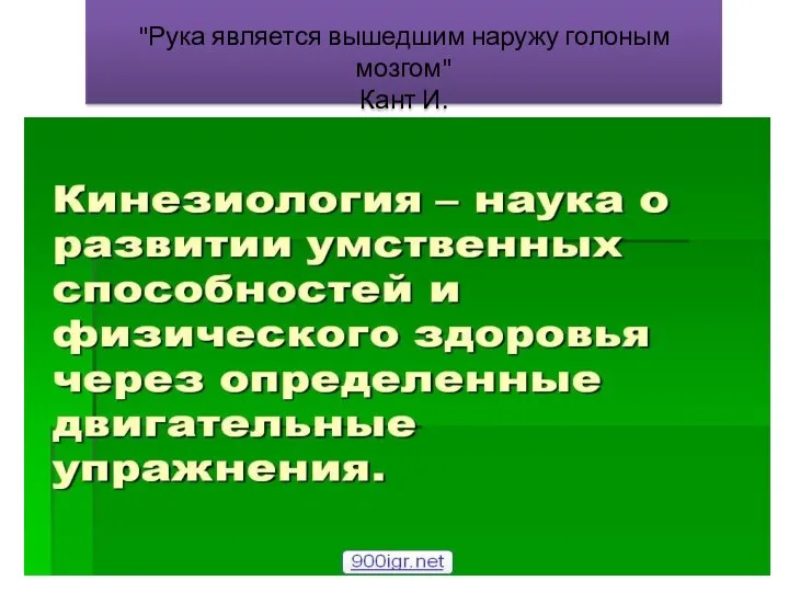 "Рука является вышедшим наружу голоным мозгом" Кант И.