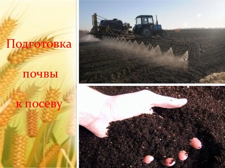 Подготовка почвы к посеву
