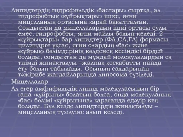 Липидтердің гидрофильдік «бастары» сыртқа, ал гидрофобтық «құйрықтары» ішке, яғни мицелланың