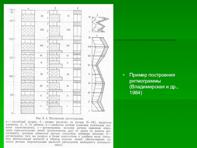 Пример построения ритмограммы (Владимирская и др., 1984)