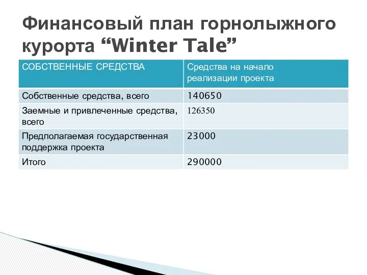 Финансовый план горнолыжного курорта “Winter Tale”