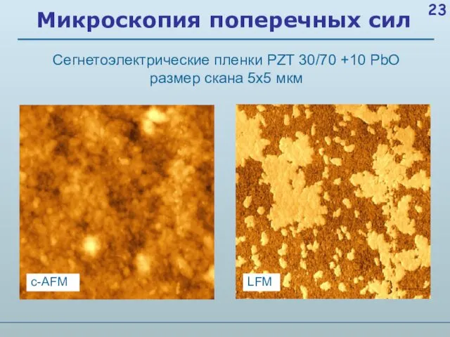Микроскопия поперечных сил Сегнетоэлектрические пленки PZT 30/70 +10 PbO размер скана 5х5 мкм
