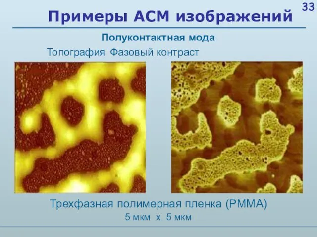 Примеры АСМ изображений 5 мкм х 5 мкм Трехфазная полимерная пленка (PMMA) Топография