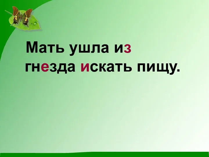 Мать ушла из гнезда искать пищу.