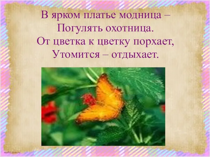 В ярком платье модница – Погулять охотница. От цветка к цветку порхает, Утомится – отдыхает.