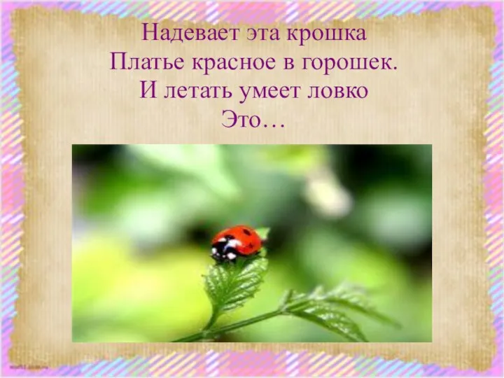 Надевает эта крошка Платье красное в горошек. И летать умеет ловко Это…