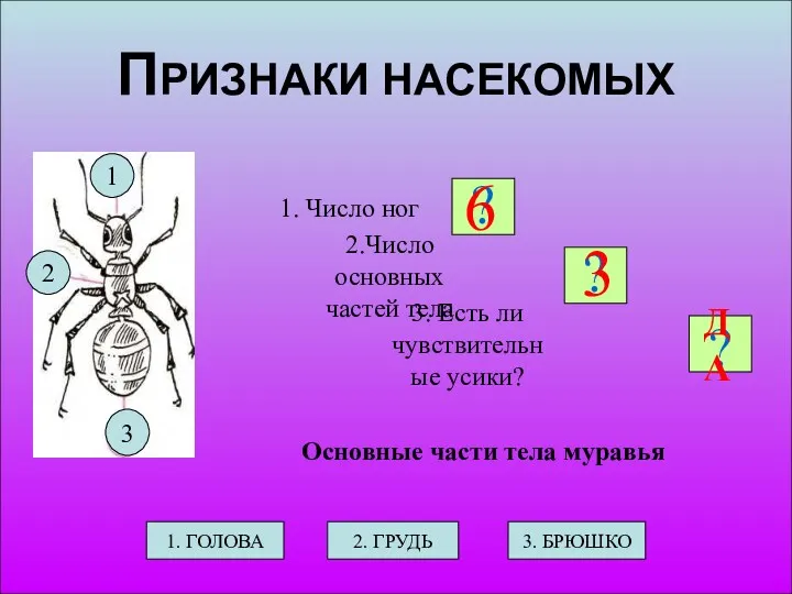 ПРИЗНАКИ НАСЕКОМЫХ 1. Число ног 2.Число основных частей тела 3. Есть ли чувствительные