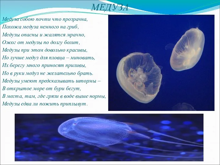 МЕДУЗА Медуза собою почти что прозрачна, Похожа медуза немного на