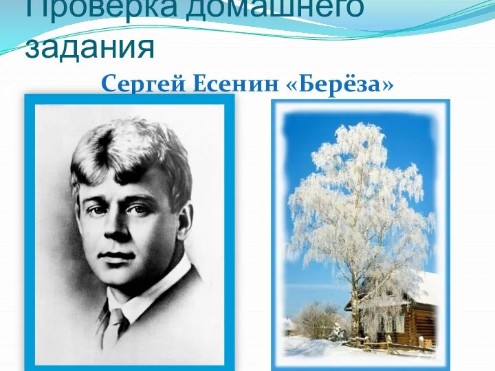 Проверка домашнего задания Сергей Есенин «Берёза»