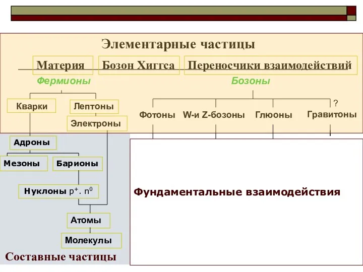 Элементарные частицы Материя Бозон Хиггса Переносчики взаимодействий Электроны Адроны Мезоны