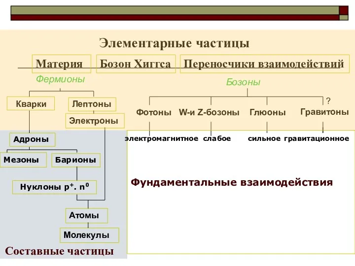 Элементарные частицы Материя Бозон Хиггса Переносчики взаимодействий Электроны Адроны Мезоны