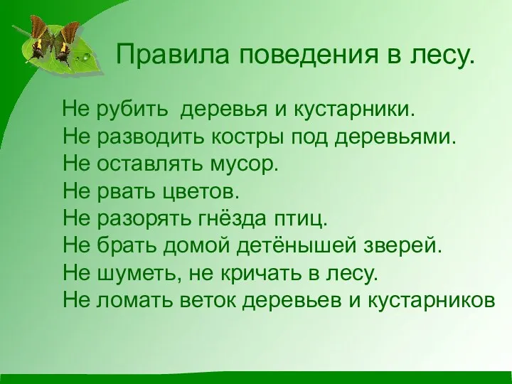 Правила поведения в лесу. Не рубить деревья и кустарники. Не разводить костры под