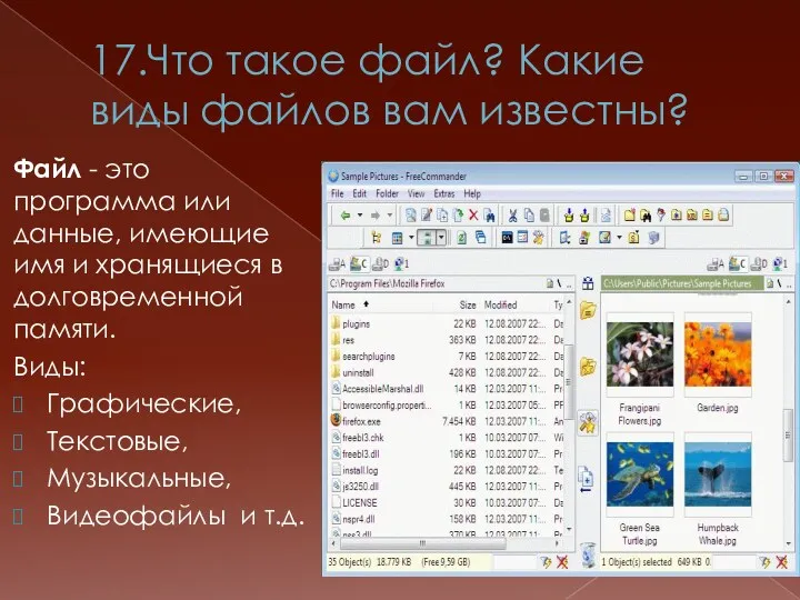 17.Что такое файл? Какие виды файлов вам известны? Файл -