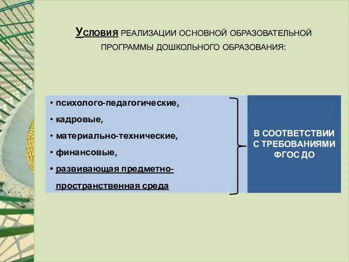 Условия реализации основной образовательной программы дошкольного образования: