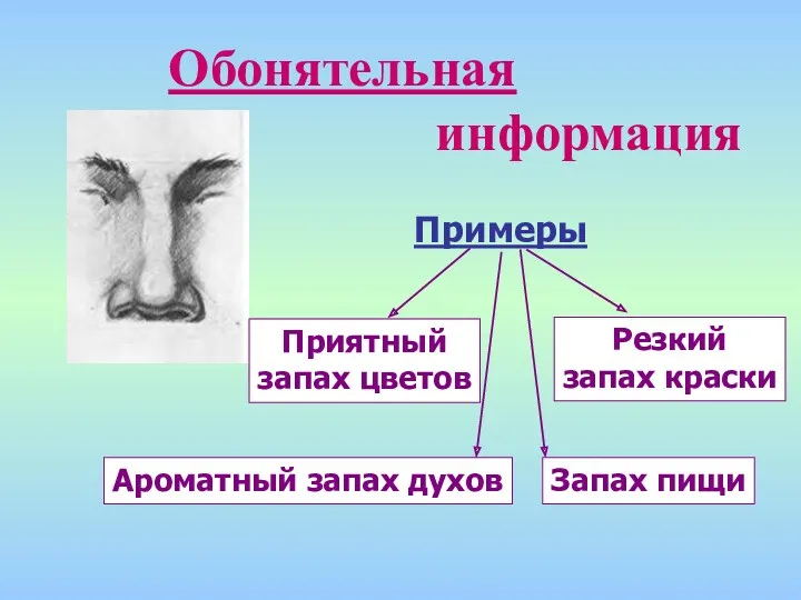 Обонятельная информация Примеры Приятный запах цветов Резкий запах краски Ароматный запах духов Запах пищи