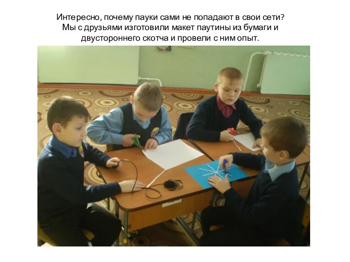 Интересно, почему пауки сами не попадают в свои сети? Мы с друзьями изготовили