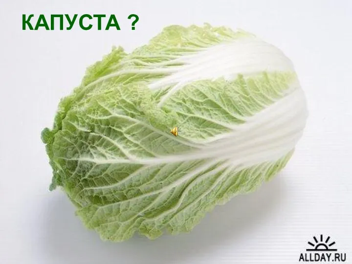 КАПУСТА ?