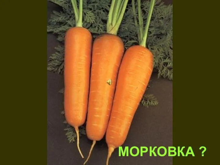 МОРКОВКА ?