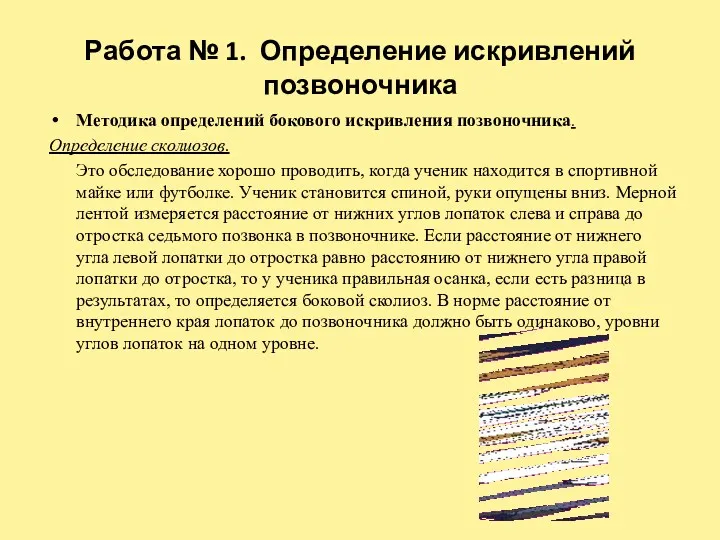 Работа № 1. Определение искривлений позвоночника Методика определений бокового искривления